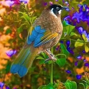 Meet your Posher, Glenn